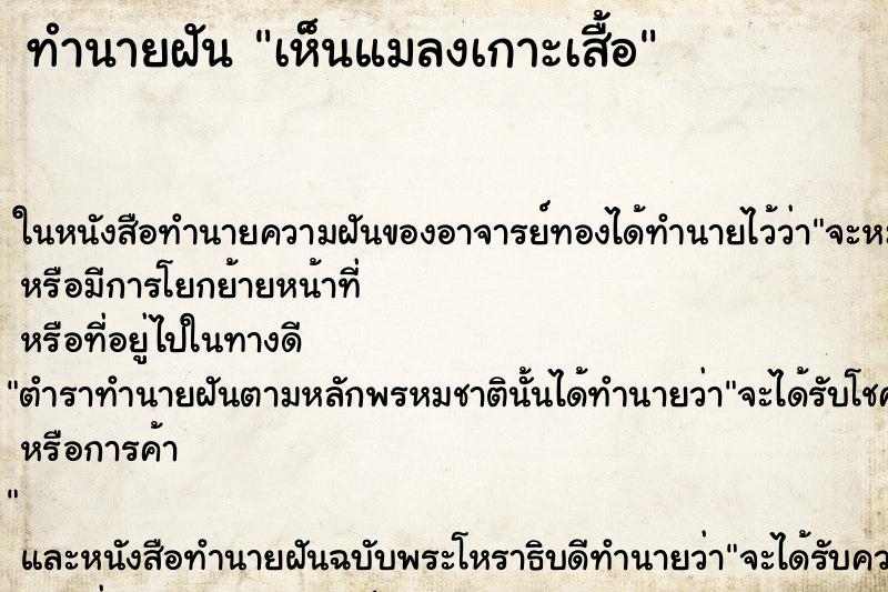 ทำนายฝัน เห็นแมลงเกาะเสื้อ ทำนายฝัน เห็นแมลงเกาะเสื้อ