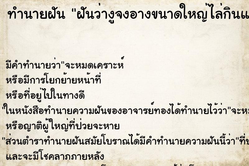 ทำนายฝันทำนายฝันฝันว่างูจงอางขนาดใหญ่ไล่กินแมว