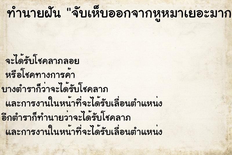 ทำนายฝันจับเห็บออกจากหูหมาเยอะมาก ทำนายฝันทำนายฝันจับเห็บออกจากหูหมาเยอะมาก