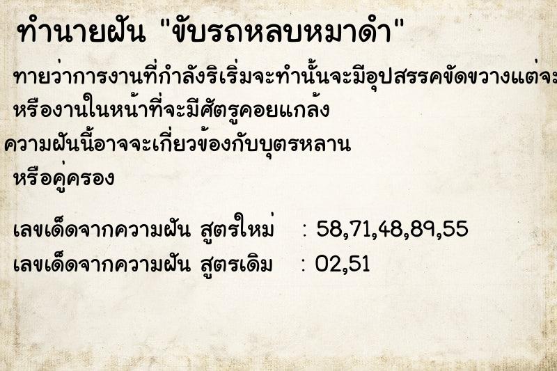 ทำนายฝัน ขับรถหลบหมาดำ ทำนายฝัน ขับรถหลบหมาดำ