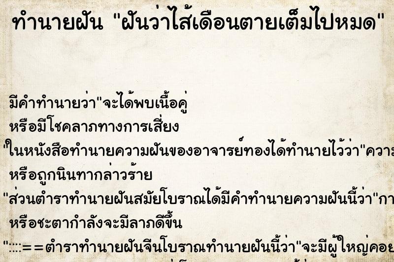ทำนายฝันทำนายฝันฝันว่าไส้เดือนตายเต็มไปหมด
