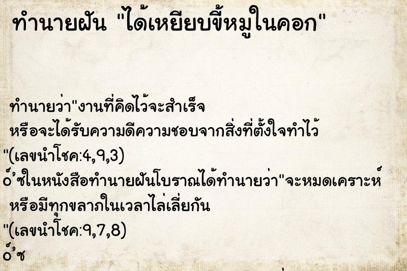 ทำนายฝัน ได้เหยียบขี้หมูในคอก ทำนายฝัน ได้เหยียบขี้หมูในคอก