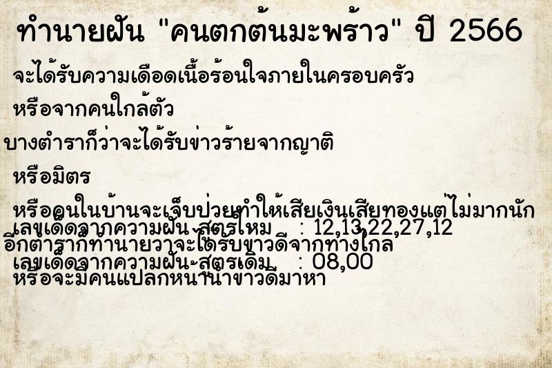 ทำนายฝัน คนตกต้นมะพร้าว ทำนายฝัน คนตกต้นมะพร้าว
