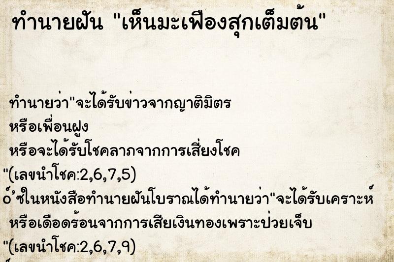 ทำนายฝัน เห็นมะเฟืองสุกเต็มต้น