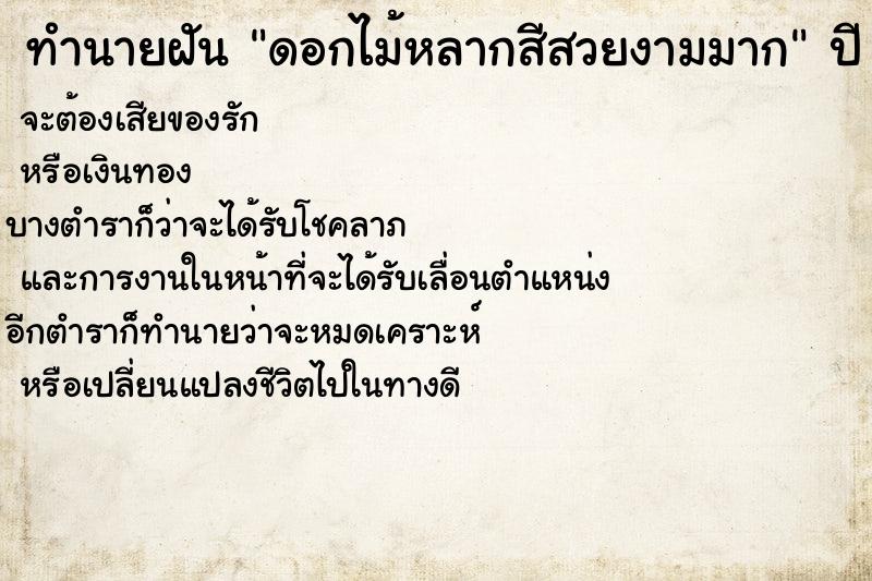 ทำนายฝันดอกไม้หลากสีสวยงามมาก ทำนายฝันทำนายฝันดอกไม้หลากสีสวยงามมาก