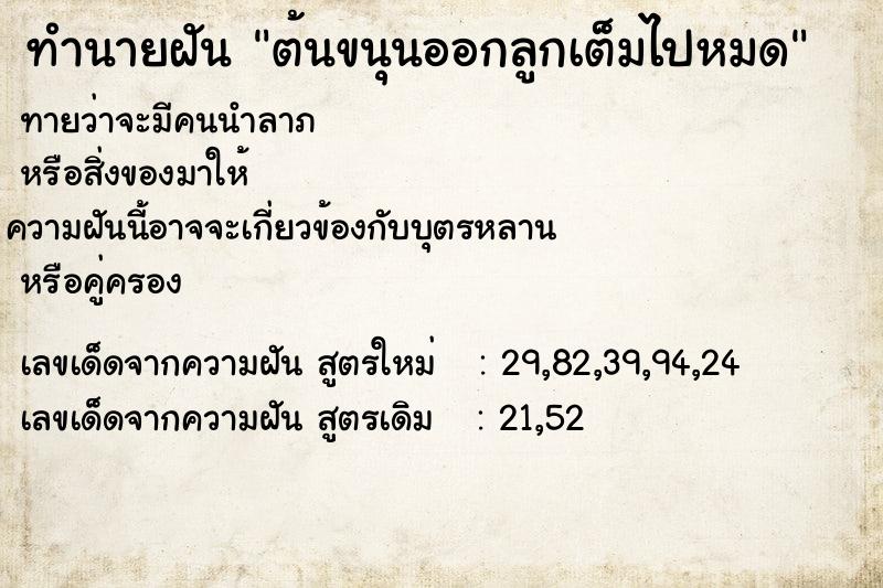 ทำนายฝันต้นขนุนออกลูกเต็มไปหมด ทำนายฝันทำนายฝันต้นขนุนออกลูกเต็มไปหมด