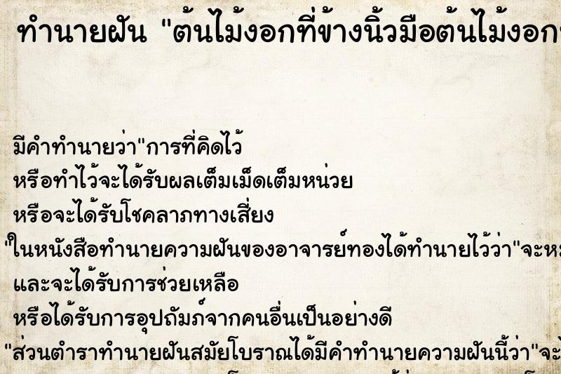 ทำนายฝันทำนายฝันต้นไม้งอกที่ข้างนิ้วมือต้นไม้งอกที่นิ้วมือ