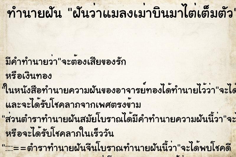 ทำนายฝัน ฝันว่าแมลงเม่าบินมาไต่เต็มตัว ทำนายฝัน ฝันว่าแมลงเม่าบินมาไต่เต็มตัว