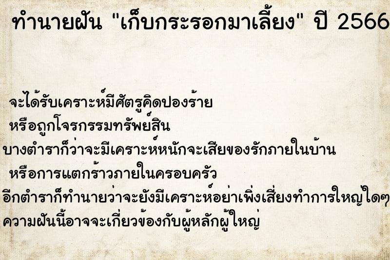 ทำนายฝัน เก็บกระรอกมาเลี้ยง