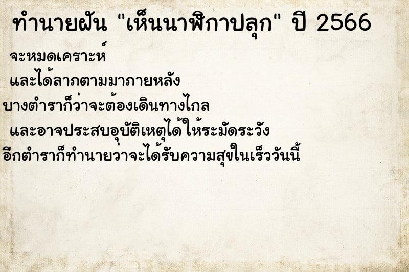 ทำนายฝัน เห็นนาฬิกาปลุก