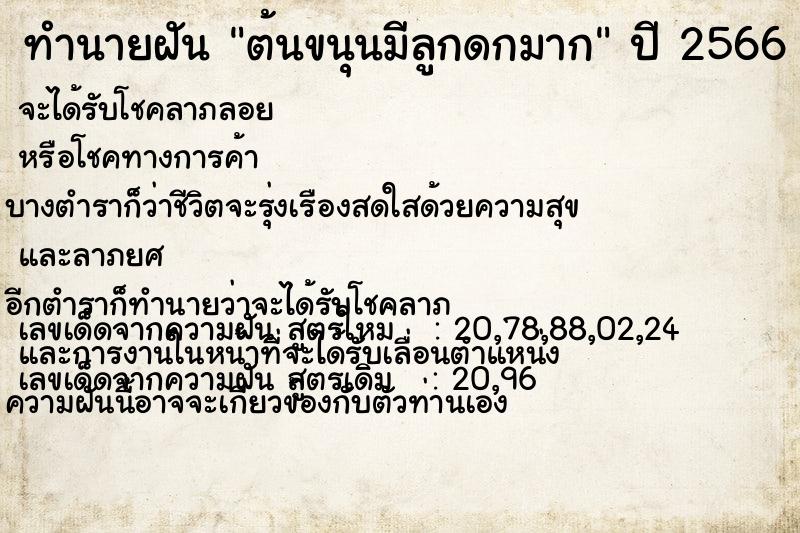 ทำนายฝัน ต้นขนุนมีลูกดกมาก ทำนายฝัน ต้นขนุนมีลูกดกมาก