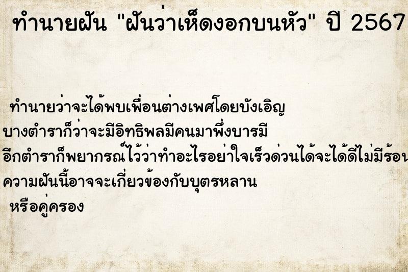 ทำนายฝันฝันว่าเห็ดงอกบนหัว ทำนายฝันทำนายฝันฝันว่าเห็ดงอกบนหัว