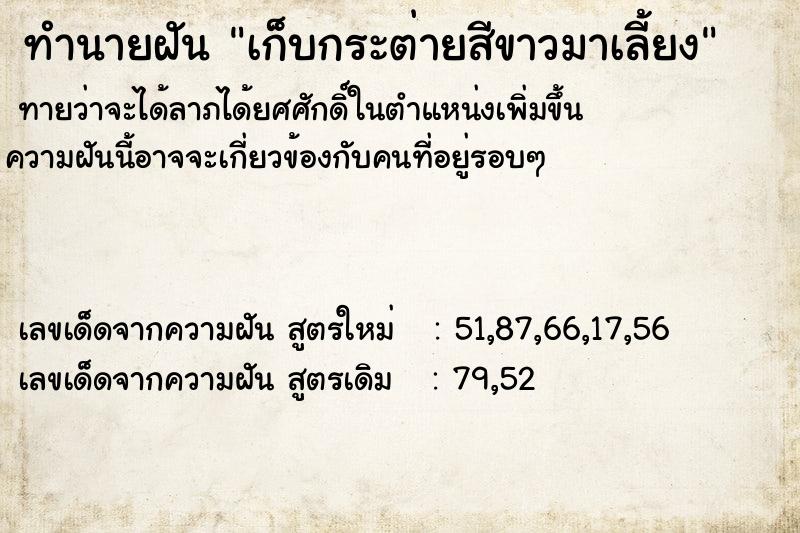 ทำนายฝันทำนายฝันเก็บกระต่ายสีขาวมาเลี้ยง