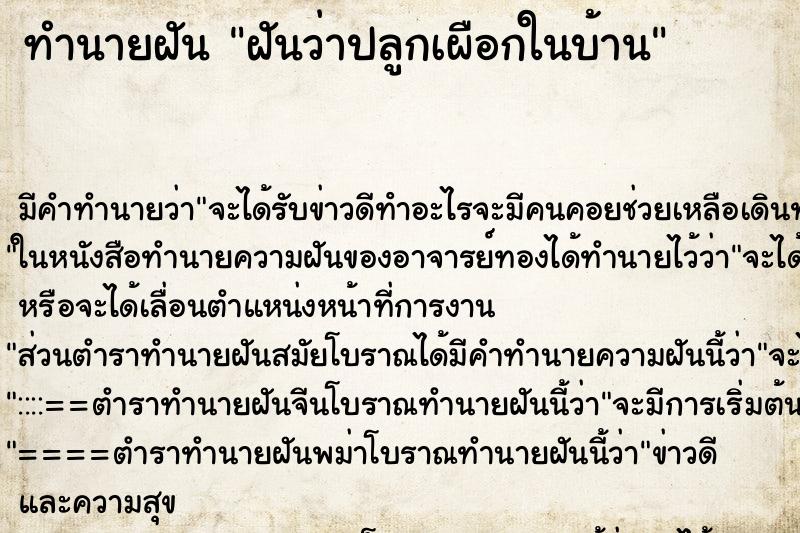 ทำนายฝันฝันว่าปลูกเผือกในบ้าน ทำนายฝันทำนายฝันฝันว่าปลูกเผือกในบ้าน