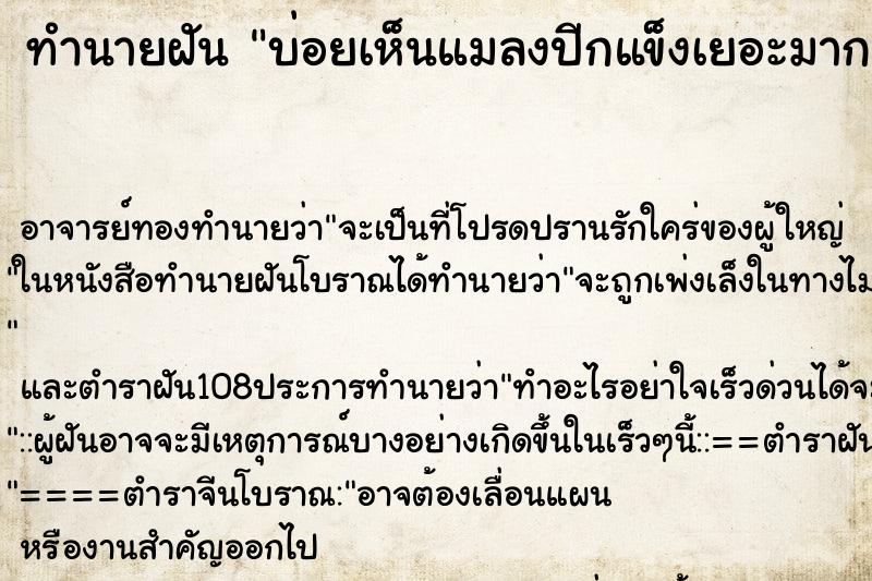 ทำนายฝันบ่อยเห็นแมลงปีกแข็งเยอะมาก ทำนายฝันทำนายฝันบ่อยเห็นแมลงปีกแข็งเยอะมาก