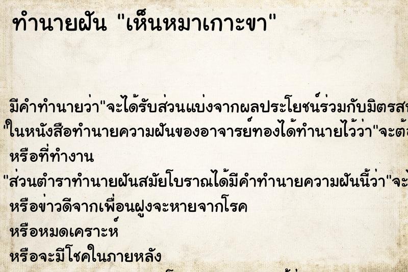 ทำนายฝัน เห็นหมาเกาะขา ทำนายฝัน เห็นหมาเกาะขา