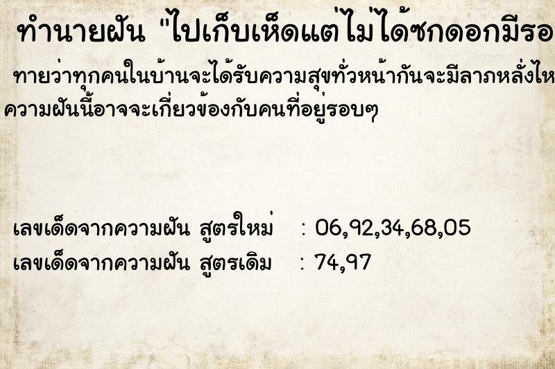 ทำนายฝันทำนายฝันไปเก็บเห็ดแต่ไม่ได้ซกดอกมีรอยคนเก็บเต็มไปหมด