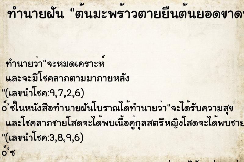 ทำนายฝันต้นมะพร้าวตายยืนต้นยอดขาดพายุพัดยอดหมุ ทำนายฝันทำนายฝันต้นมะพร้าวตายยืนต้นยอดขาดพายุพัดยอดหมุ