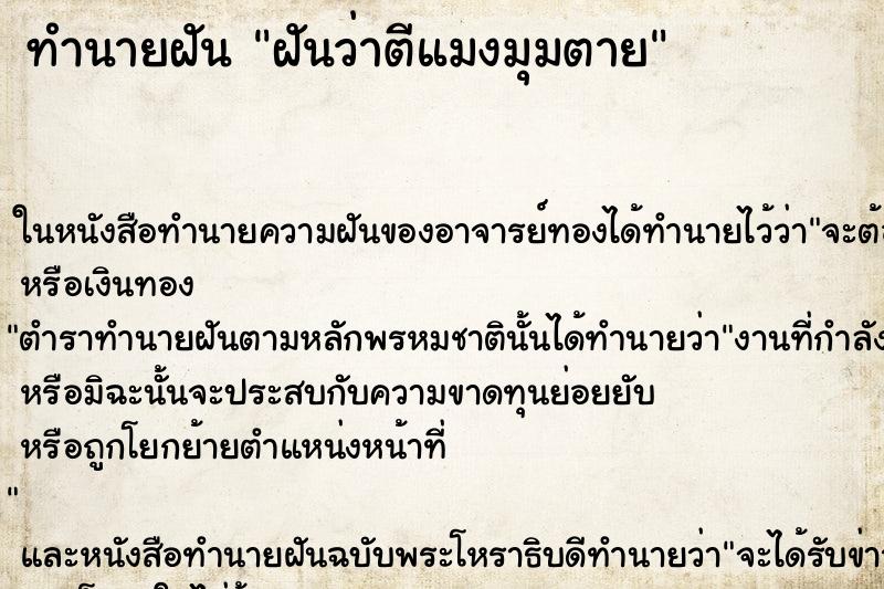 ทำนายฝันฝันว่าตีแมงมุมตาย ทำนายฝันทำนายฝันฝันว่าตีแมงมุมตาย