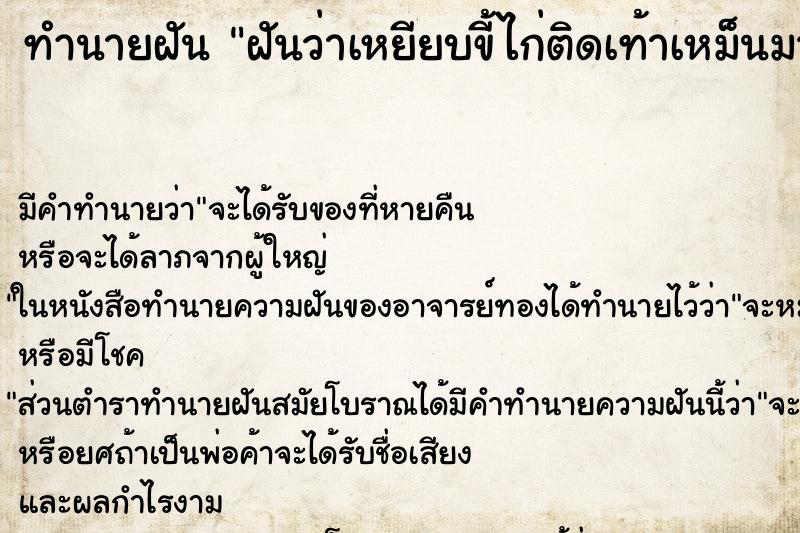 ทำนายฝัน ฝันว่าเหยียบขี้ไก่ติดเท้าเหม็นมาก ตำราโบราณ แม่นที่สุดในโลก