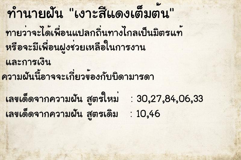 ทำนายฝันเงาะสีแดงเต็มต้น ทำนายฝันทำนายฝันเงาะสีแดงเต็มต้น