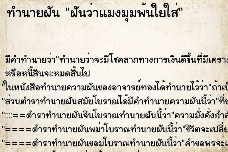 ทำนายฝันฝันว่าแมงมุมพ้นใยใส่ ทำนายฝันทำนายฝันฝันว่าแมงมุมพ้นใยใส่