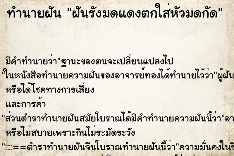 ทำนายฝัน ฝันรังมดแดงตกใส่หัวมดกัด ทำนายฝัน ฝันรังมดแดงตกใส่หัวมดกัด