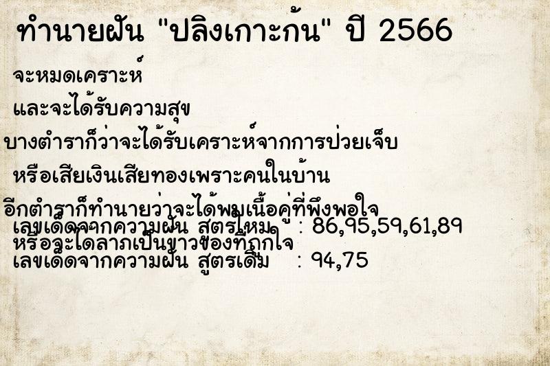 ทำนายฝันปลิงเกาะก้น ทำนายฝันทำนายฝันปลิงเกาะก้น