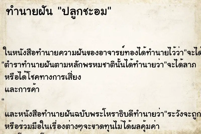ทำนายฝัน ปลูกชะอม ทำนายฝัน ปลูกชะอม
