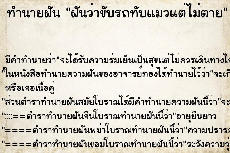 ทำนายฝัน ฝันว่าขับรถทับแมวแต่ไม่ตาย ทำนายฝัน ฝันว่าขับรถทับแมวแต่ไม่ตาย