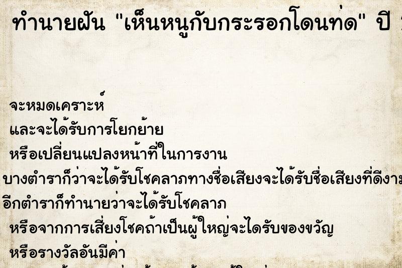 ทำนายฝันเห็นหนูกับกระรอกโดนท่ด ทำนายฝันทำนายฝันเห็นหนูกับกระรอกโดนท่ด