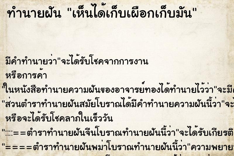 ทำนายฝันเห็นได้เก็บเผือกเก็บมัน ทำนายฝันทำนายฝันเห็นได้เก็บเผือกเก็บมัน