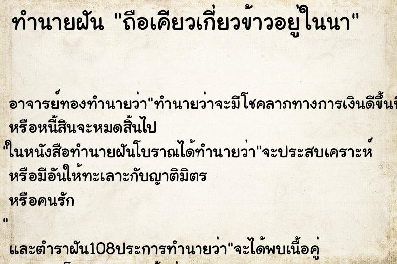 ทำนายฝันถือเคียวเกี่ยวข้าวอยู่ในนา ทำนายฝันทำนายฝันถือเคียวเกี่ยวข้าวอยู่ในนา