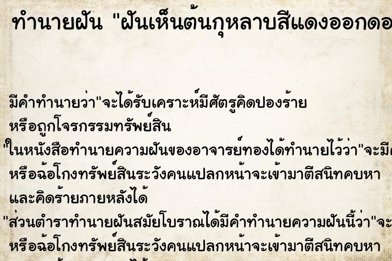 ทำนายฝันฝันเห็นต้นกุหลาบสีแดงออกดอก ทำนายฝันทำนายฝันฝันเห็นต้นกุหลาบสีแดงออกดอก