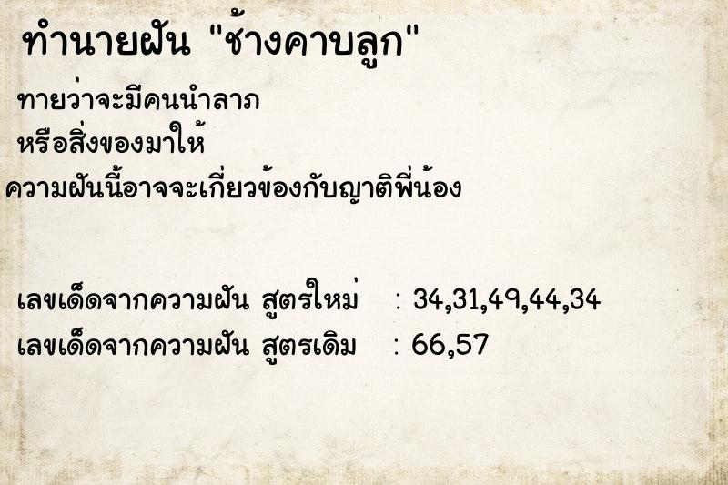 ทำนายฝันทำนายฝันช้างคาบลูก