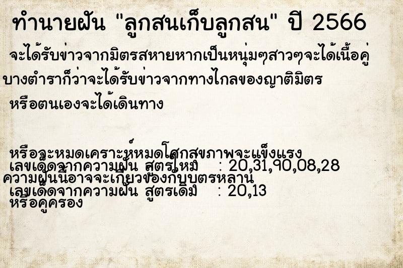 ทำนายฝันทำนายฝันลูกสนเก็บลูกสน