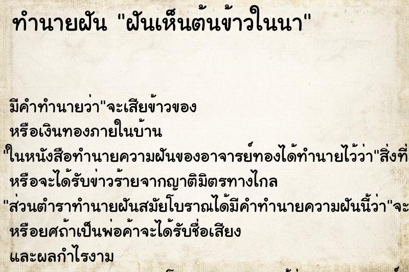 ทำนายฝัน ฝันเห็นต้นข้าวในนา ทำนายฝัน ฝันเห็นต้นข้าวในนา