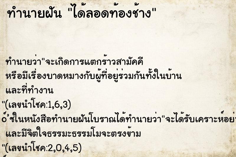 ทำนายฝัน ได้ลอดท้องช้าง ทำนายฝัน ได้ลอดท้องช้าง