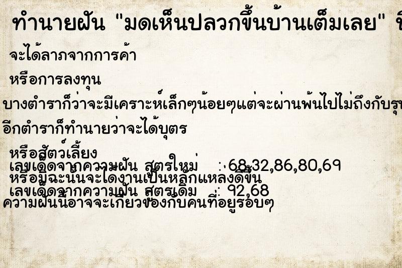 ทำนายฝัน มดเห็นปลวกขึ้นบ้านเต็มเลย