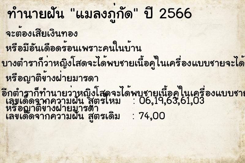 ทำนายฝันทำนายฝันแมลงภู่กัด