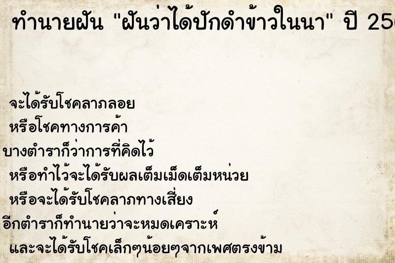 ทำนายฝันทำนายฝันฝันว่าได้ปักดำข้าวในนา