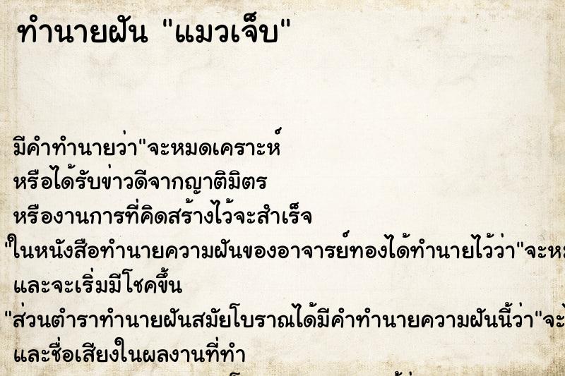 ทำนายฝัน แมวเจ็บ ทำนายฝัน แมวเจ็บ
