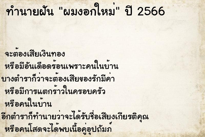 ทำนายฝันทำนายฝันผมงอกใหม่