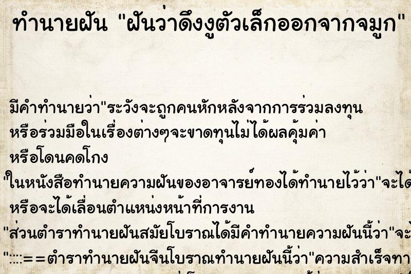 ทำนายฝัน ฝันว่าดึงงูตัวเล็กออกจากจมูก ตำราโบราณ แม่นที่สุดในโลก