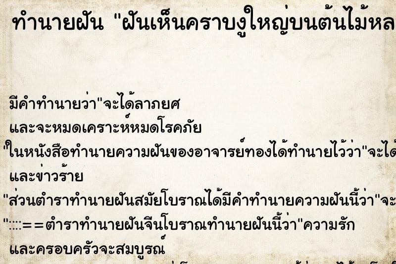 ทำนายฝันฝันเห็นคราบงูใหญ่บนต้นไม้หลายต้น ทำนายฝันทำนายฝันฝันเห็นคราบงูใหญ่บนต้นไม้หลายต้น