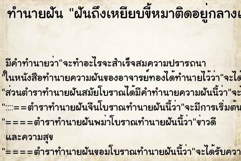 ทำนายฝันฝันถึงเหยียบขี้หมาติดอยู่กลางเท้าส่งกินเหม็น ทำนายฝันทำนายฝันฝันถึงเหยียบขี้หมาติดอยู่กลางเท้าส่งกินเหม็น