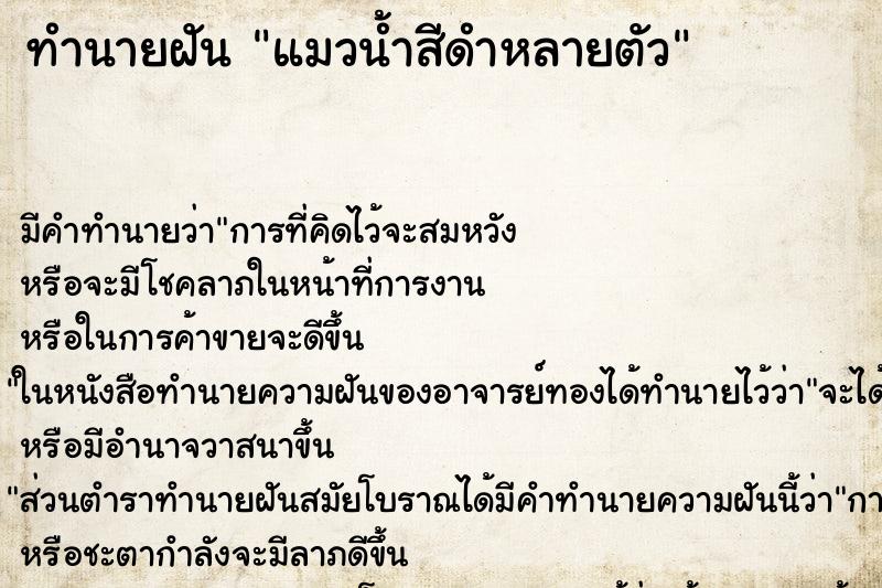 ทำนายฝัน แมวน้ำสีดำหลายตัว ทำนายฝัน แมวน้ำสีดำหลายตัว