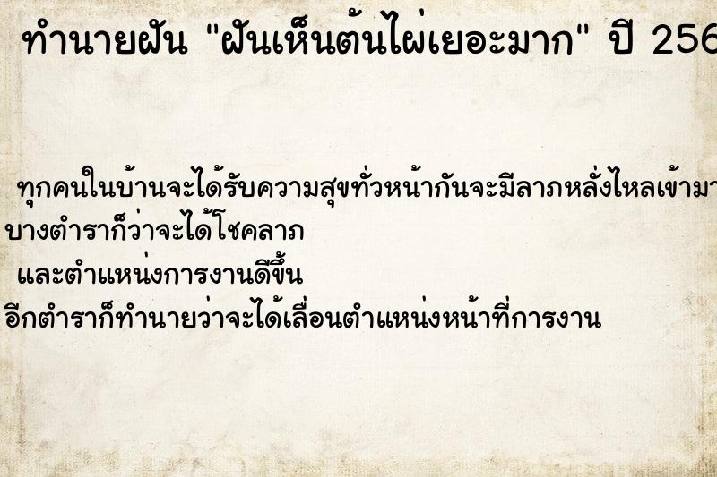 ทำนายฝัน ฝันเห็นต้นไผ่เยอะมาก ตำราโบราณ แม่นที่สุดในโลก