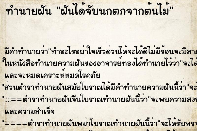 ทำนายฝันฝันได้จับนกตกจากต้นไม้ ทำนายฝันทำนายฝันฝันได้จับนกตกจากต้นไม้
