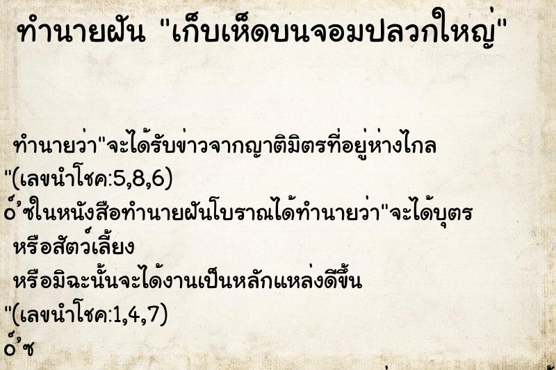 ทำนายฝัน เก็บเห็ดบนจอมปลวกใหญ่ ทำนายฝัน เก็บเห็ดบนจอมปลวกใหญ่